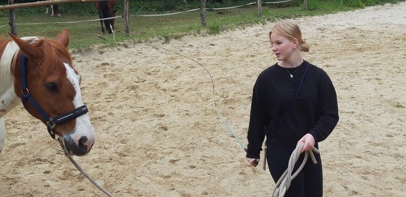 Dieses Bild hat ein leeres Alt-Attribut. Der Dateiname ist 20200524_163138.jpg